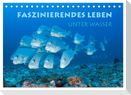 Faszinierendes Leben unter Wasser (Tischkalender 2024 DIN A5 quer), CALVENDO Monatskalender