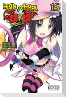 High School DxD, Vol. 15 (light novel)
