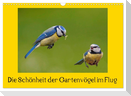 Die Schönheit der Gartenvögel im Flug (Wandkalender 2025 DIN A3 quer), CALVENDO Monatskalender