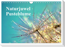 Naturjuwel Pusteblume (Wandkalender 2024 DIN A4 quer), CALVENDO Monatskalender