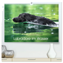 Labradore im Wasser (hochwertiger Premium Wandkalender 2025 DIN A2 quer), Kunstdruck in Hochglanz