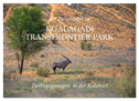 Auf Pirschfahrt im Kgalagadi Transfrontier Park (Wandkalender 2024 DIN A2 quer), CALVENDO Monatskalender
