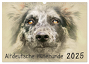 Altdeutsche Hütehunde 2025 (Wandkalender 2025 DIN A3 quer), CALVENDO Monatskalender
