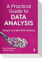 A Practical Guide to Data Analysis