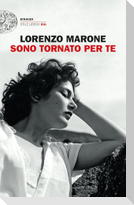 Sono tornato per te