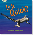 Bug Club Phonics - Phase 3 Unit 7: Is It Quick?