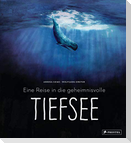 Eine Reise in die geheimnisvolle Tiefsee