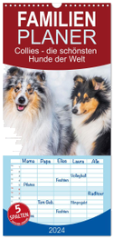 Familienplaner 2024 - Collies - die schönsten Hunde der Welt mit 5 Spalten (Wandkalender, 21 x 45 cm) CALVENDO
