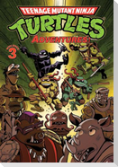 Teenage Mutant Ninja Turtles Adventures Volume 3