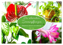 Die schönsten Zimmerpflanzen. Pflegeleicht, dekorativ und wohltuend (Wandkalender 2024 DIN A4 quer), CALVENDO Monatskalender
