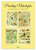 Prächtige Naturtafeln (Wandkalender 2025 DIN A4 hoch), CALVENDO Monatskalender