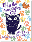 TIBBS THE MEDITATION CAT