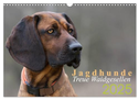 Jagdhunde - Treue Waidgesellen (Wandkalender 2025 DIN A3 quer), CALVENDO Monatskalender