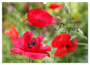 Charming Poppies (Wall Calendar 2024 DIN A3 landscape), CALVENDO 12 Month Wall Calendar