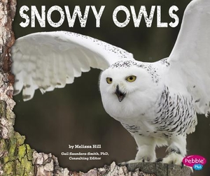 Hill, Melissa. Snowy Owls. Wiley, 2015.