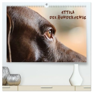 Hultsch, Heike. Attila, Der Hundekönig (hochwertiger Premium Wandkalender 2024 DIN A2 quer), Kunstdruck in Hochglanz - Die vielen Gesichter des Attila H.. Calvendo Verlag, 2023.