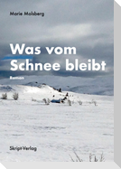 Was vom Schnee bleibt