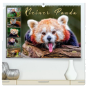 Kleiner Panda (hochwertiger Premium Wandkalender 2024 DIN A2 quer), Kunstdruck in Hochglanz