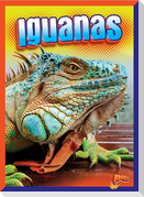 Iguanas