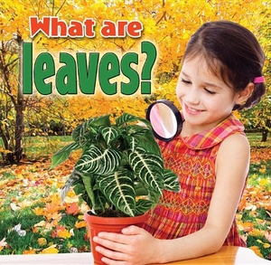MacAulay, Kelley. What Are Leaves?. Crabtree Publishing Company, 2013.