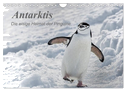 Antarktis, die eisige Heimat der Pinguine (Wandkalender 2024 DIN A4 quer), CALVENDO Monatskalender