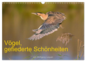 Vögel, Gefiederte Schönheiten (Wandkalender 2024 DIN A3 quer), CALVENDO Monatskalender