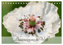 Blüteneleganz in Weiß (Tischkalender 2024 DIN A5 quer), CALVENDO Monatskalender