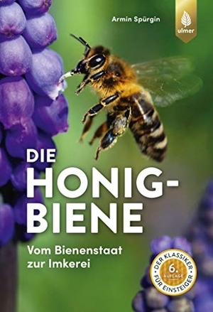 Spürgin, Armin. Die Honigbiene - Vom Bienenstaat zur Imkerei. Der Klassiker für Einsteiger. Ulmer Eugen Verlag, 2020.