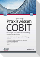 Praxiswissen COBIT