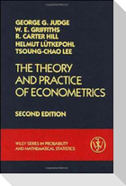 The Theory and Practice of Econometrics