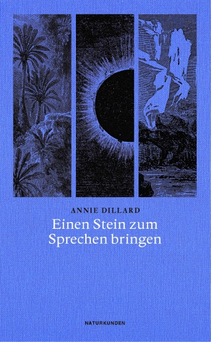 Dillard, Annie. Einen Stein zum Sprechen bringen. Matthes & Seitz Verlag, 2022.