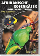 Afrikanische Rosenkäfer