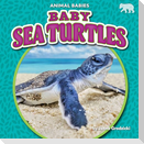 Baby Sea Turtles