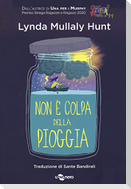 Non è colpa della pioggia