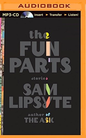 Lipsyte, Sam. The Fun Parts. Audio Holdings, 2014.