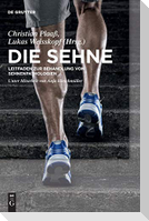 Die Sehne