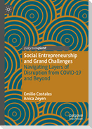 Social Entrepreneurship and Grand Challenges