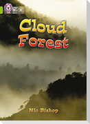 The Cloud Forest
