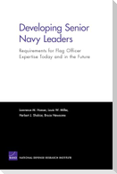 Developing Senior Navy Leaders: Requirements for Flag Officer Expertise Today and in the Future