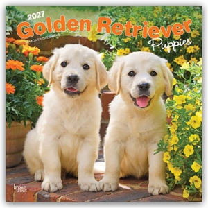 Publishers, Browntrout. Golden Retriever Puppies - Golden Retriever Welpen 2027 - 16-Monatskalender - Original BrownTrout-Kalender [Mehrsprachig] [Kalender]. Browntrout Verlags GmbH, 2026.