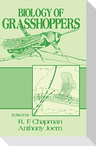 Grasshoppers