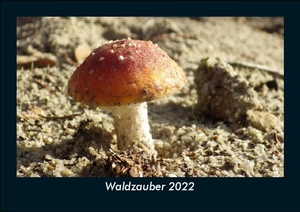 Tobias Becker. Waldzauber 2022 Fotokalender DIN A5 - Monatskalender mit Bild-Motiven aus Fauna und Flora, Natur, Blumen und Pflanzen. Vero Kalender, 2021.