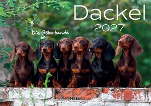 Dackel 2027 Wandkalender - Tierkalender mit den charmanten Namen - Eintragkalender. Edition Lempertz, 2026.