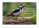 Heimische Gartenvögel - Gefiederte Freunde (Wandkalender 2024 DIN A2 quer), CALVENDO Monatskalender
