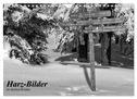 Harz-Bilder in monochrome (Wandkalender 2025 DIN A4 quer), CALVENDO Monatskalender