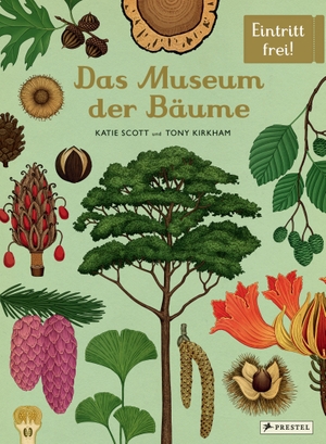 Kirkham, Tony / Katie Scott. Das Museum der Bäume - Eintritt frei!. Prestel Verlag, 2023.
