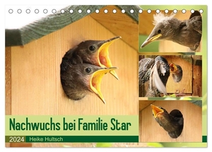 Hultsch, Heike. Nachwuchs bei Familie Star (Tischkalender 2024 DIN A5 quer), CALVENDO Monatskalender - Brutzeit der Stare. Calvendo, 2023.