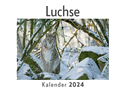 Luchse (Wandkalender 2024, Kalender DIN A4 quer, Monatskalender im Querformat mit Kalendarium, Das perfekte Geschenk)