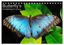 Butterfly's - Schmetterlinge für Zuhause (Tischkalender 2025 DIN A5 quer), CALVENDO Monatskalender