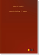 Non-Criminal Prisions